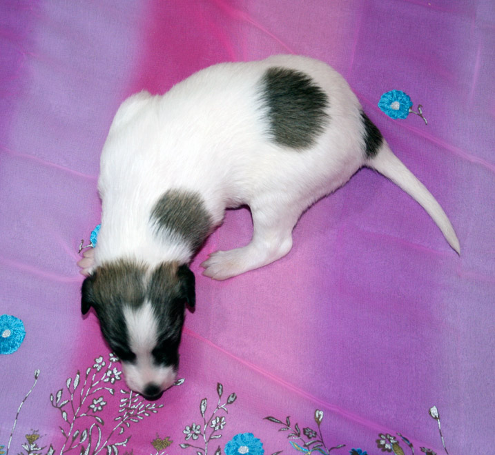 Surf Spots - Girl 2 Right